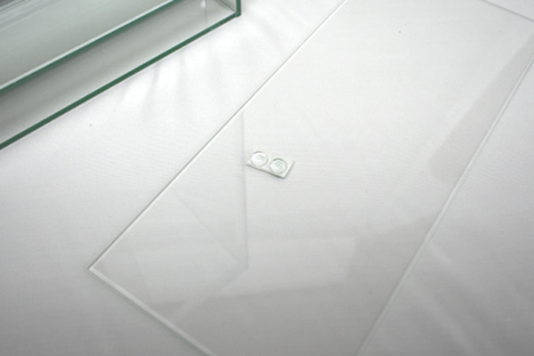 佐川急便発送・当日出荷14時まで・送料無料】Rain Forest パルダリウム