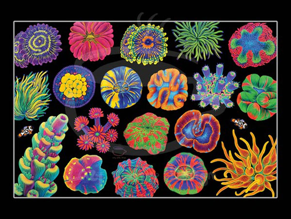 【正規輸入品】MINI Lazy reef Coral Reef Fine Art Print