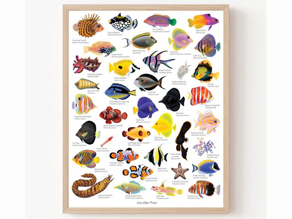 【正規輸入品】Lazy Reef Fish Fine Art Print