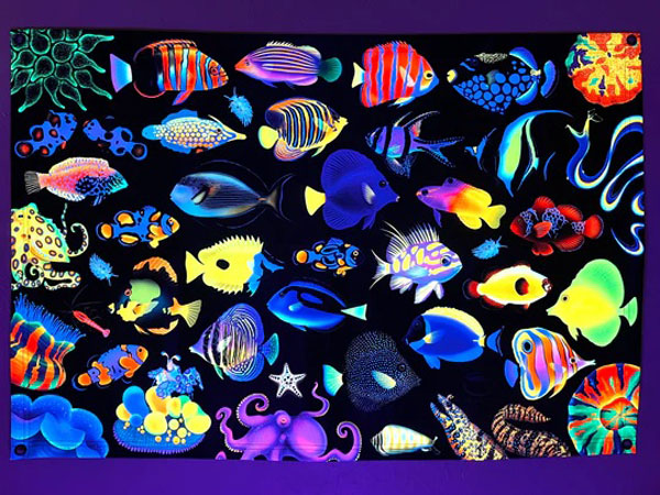 【正規輸入品】”Reeftopia”UV Reactive Tapestry
