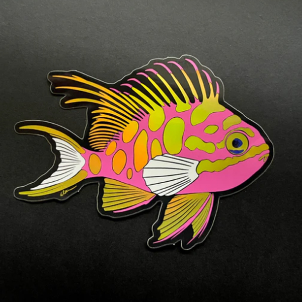 【正規輸入品】lazycoffeedesign Blotched Anthias / Holographic
