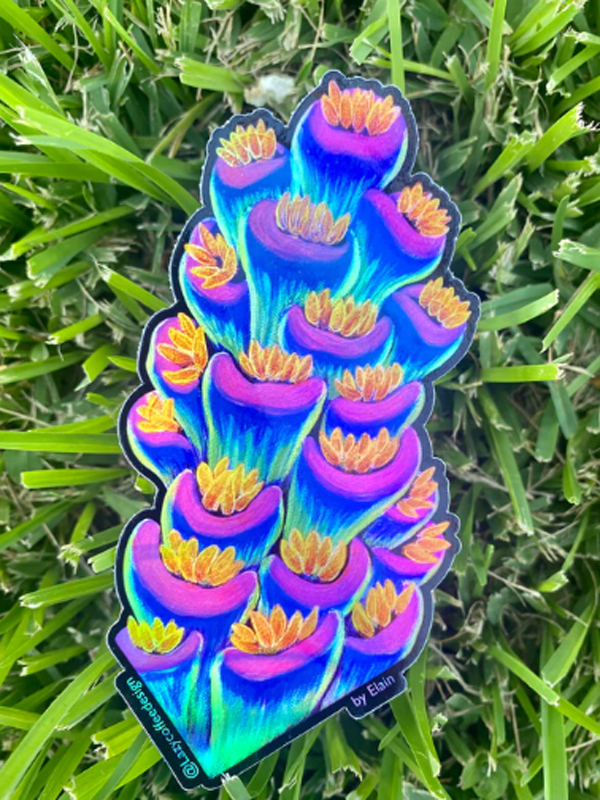 【正規輸入品】lazycoffeedesign Rainbow Tenuis Sticker/ Holographic[limited Edition]