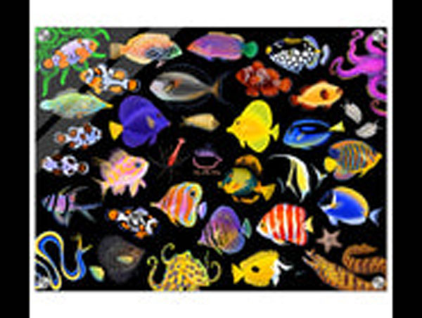 【正規輸入品】”Under The Sea”Acrylic Print