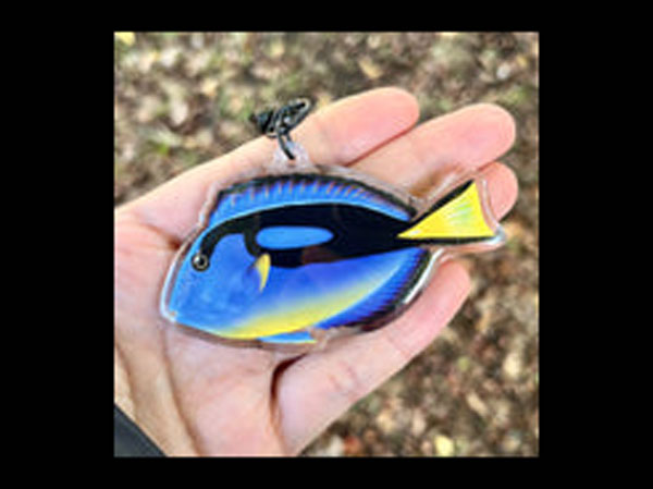 【正規輸入品】Blue Hippo Tang Keychian