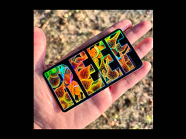 【正規輸入品】REEF Sticker/Holograpahic