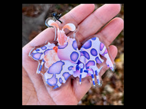 【正規輸入品】Harlequin Shrimp Sticker