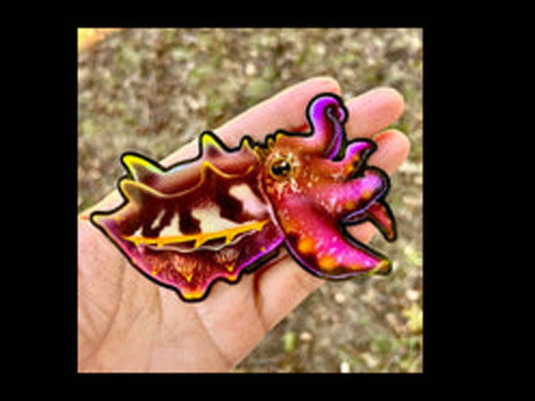 【正規輸入品】Flamboyant Cuttlefish Sticker/Holographic