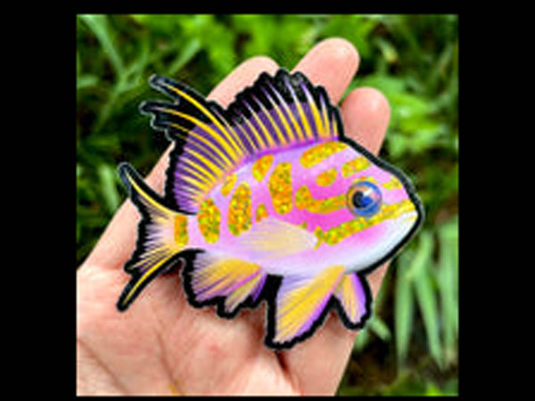 【正規輸入品】Blotched Anthias Sticker/Glitter