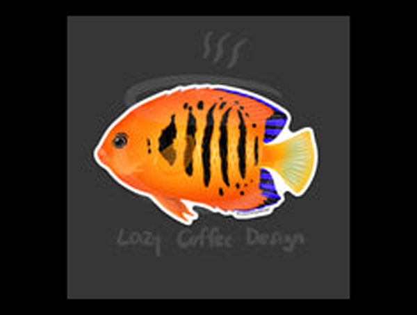 【正規輸入品】Flame Angelfish Sticker