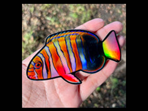 【正規輸入品】Harlequin Tusk Sticker/Holograhic