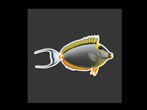 【正規輸入品】Blonde Naso Tang Sticker
