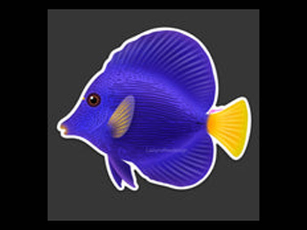【正規輸入品】Purple Tang Sticker