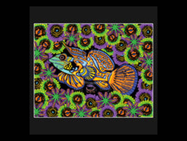 【正規輸入品】”Mandarin Garden”Fine Art Print