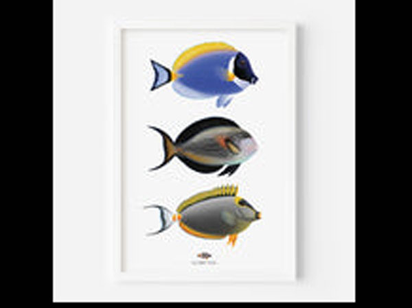 【正規輸入品】Powder Blue/Sohal/Blonde Naso Fine Art Print