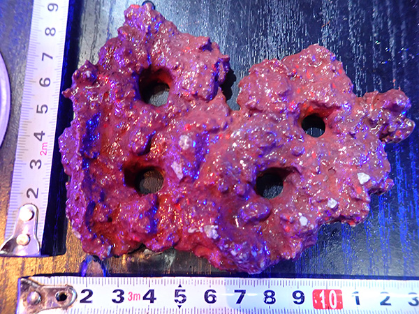 Frag専用プレート JS Frag Rock No.135