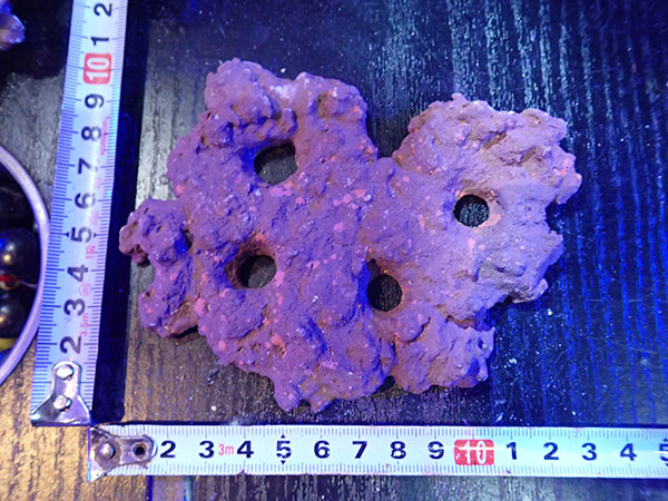 Frag専用プレート JS Frag Rock No.13