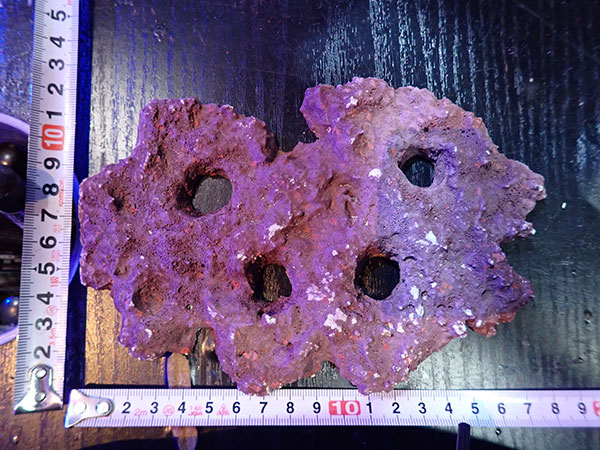 Frag専用プレート JS Frag Rock No.16