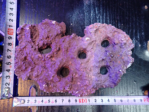 Frag専用プレート JS Frag Rock No.28