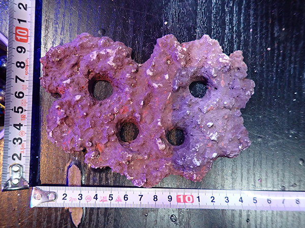 Frag専用プレート JS Frag Rock No.29