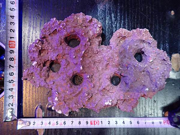 Frag専用プレート JS Frag Rock No.30