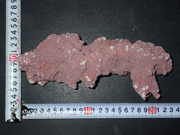 JS Rock No.10
