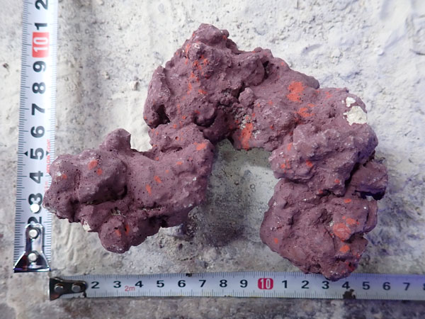 JS Rock No.31