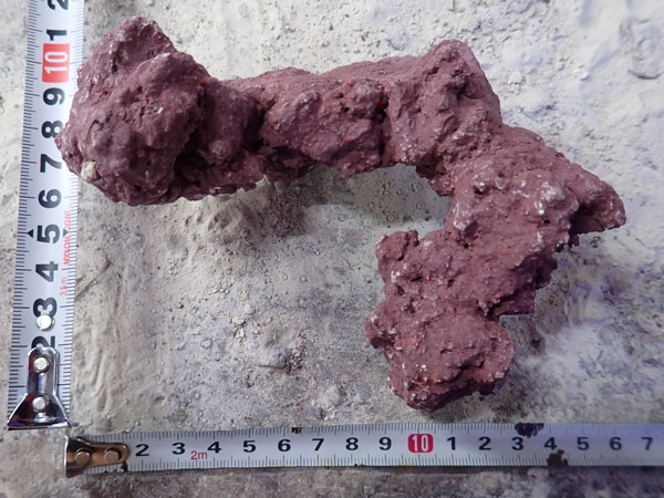 JS Rock No.33