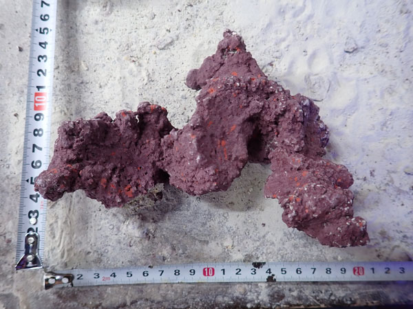 JS Rock No.35