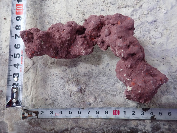 JS Rock No.36