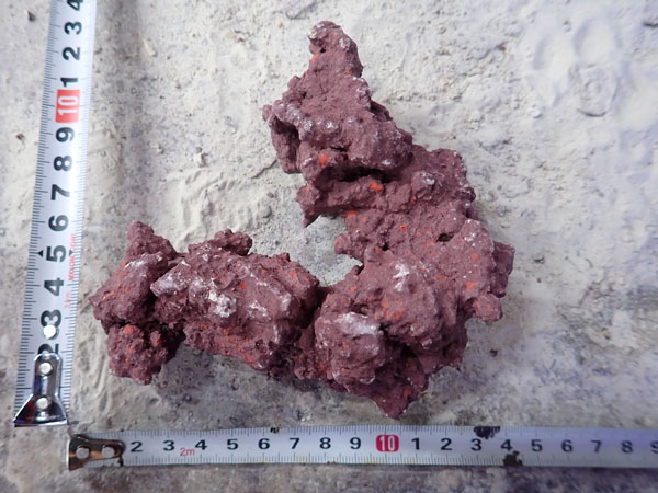 JS Rock No.37