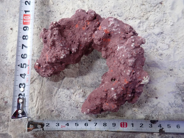 JS Rock No.38