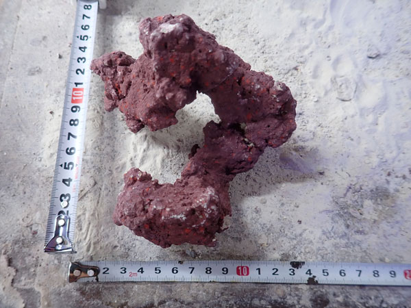 JS Rock No.39