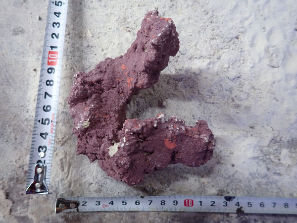 JS Rock No.41