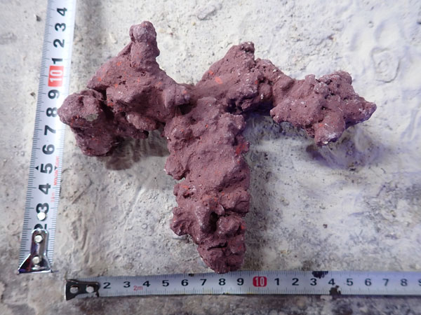 JS Rock No.44