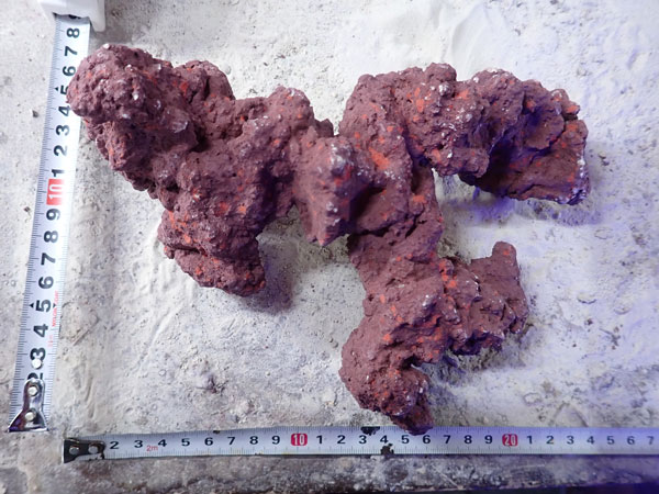 JS Rock No.46