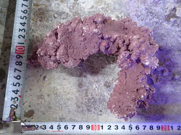 JS Rock No.52