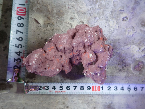 JS Rock No.55