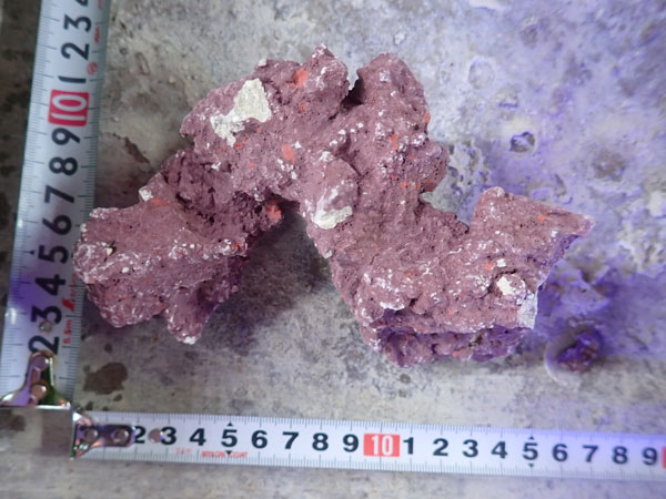 JS Rock No.56