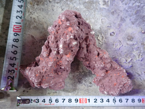 JS Rock No.59