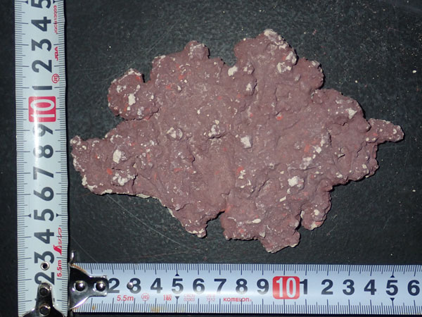 JS Rock Table Type No.20