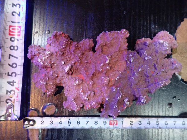 JS Rock Table Type No.37