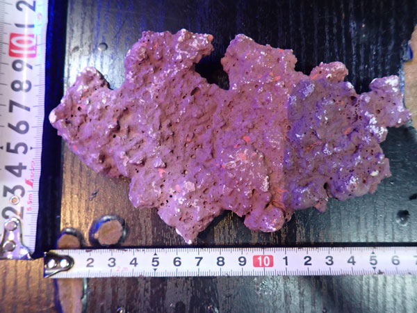 JS Rock Table Type No.38