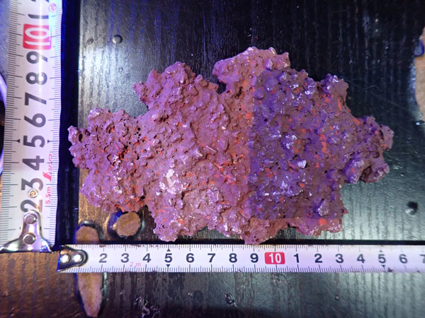 JS Rock Table Type No.41