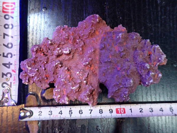 JS Rock Table Type No.45