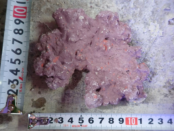 JS Rock Table Type No.53