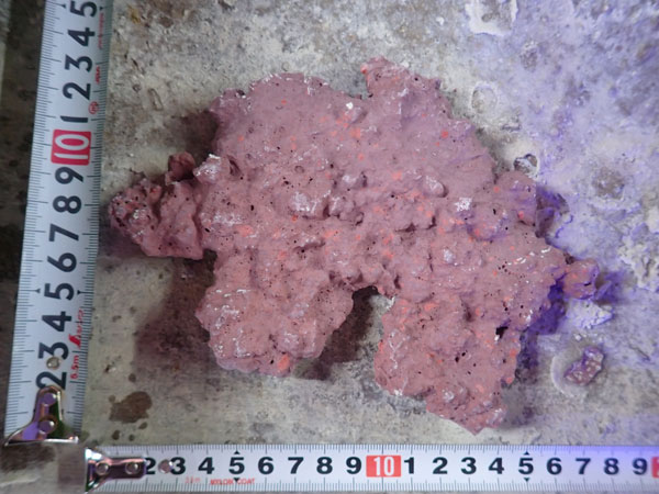 JS Rock Table Type No.55
