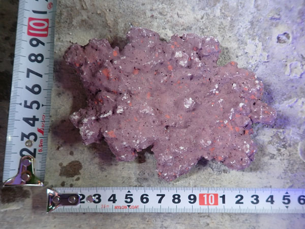 JS Rock Table Type No.56