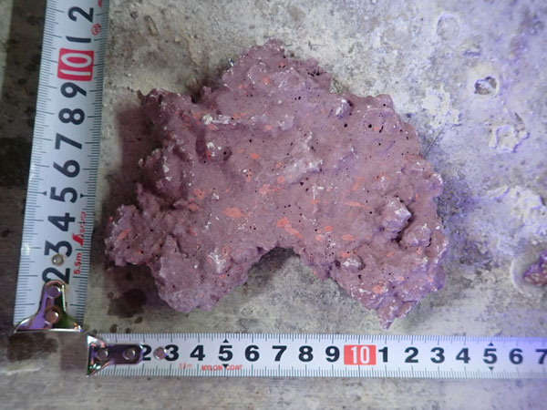 JS Rock Table Type No.57