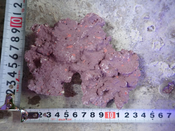 JS Rock Table Type No.60