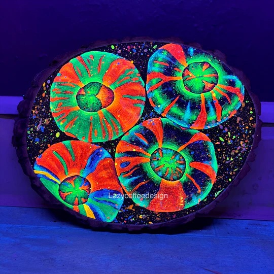 【正規輸入品】Neptune’s Shield